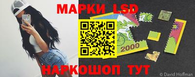 дмт Кингисепп