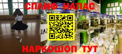 дмт Кингисепп