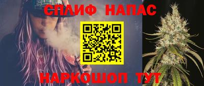 дмт Кингисепп