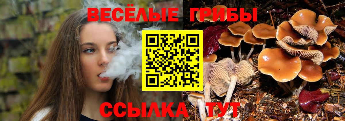 Галлюциногенные грибы MAGIC MUSHROOMS  где найти наркотики  Чернушка  Вход с VPN 
